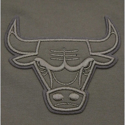 Shop Pro Standard Gray Chicago Bulls Neutrals Short Sleeve Pullover Hoodie