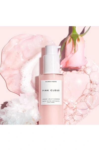 Herbivore Botanicals Pink Cloud Creamy Jelly Cleanser