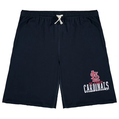 Shop Profile Navy St. Louis Cardinals Big & Tall French Terry Shorts