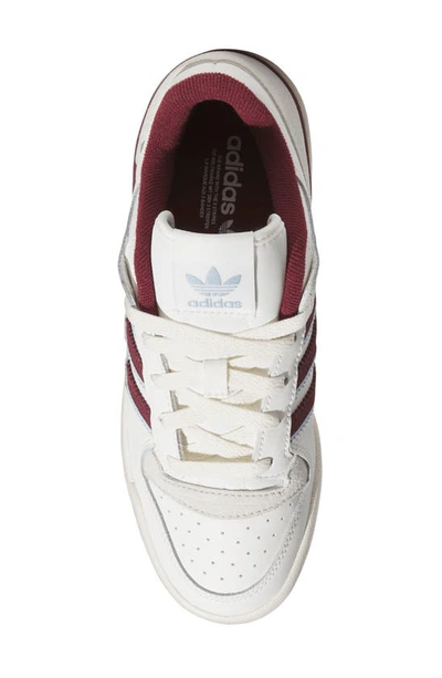 Shop Adidas Originals Forum Low Sneaker In Cloud/ Red/ Cream
