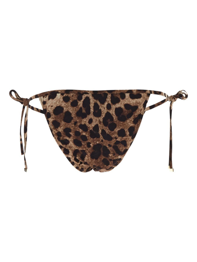 Shop Dolce & Gabbana Leopard Bikini In Brown