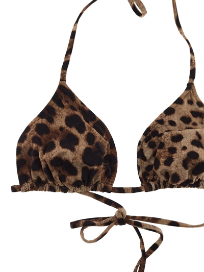 Shop Dolce & Gabbana Leopard Bikini In Brown