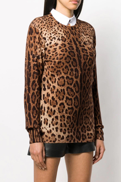 Shop Dolce & Gabbana Women Animalier Sweater In Multicolor