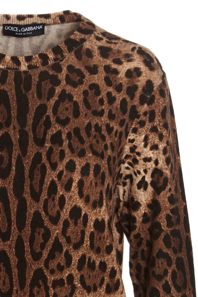 Shop Dolce & Gabbana Women Animalier Sweater In Multicolor