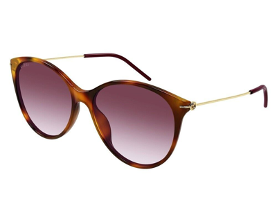Pre-owned Gucci Cat Eye Sunglasses Gg1268s-002-58 Havana Gold Frame Red Gradient Lenses