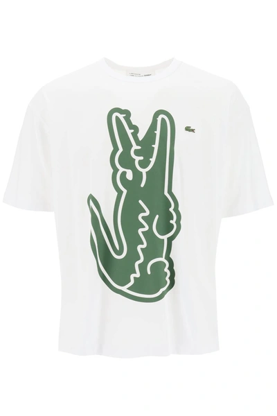 Shop Comme Des Garçons Shirt X Lacoste Crocodile Print T Shirt In White