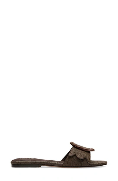 Shop Birdies Kiwi Slide Sandal In Chocolate Raffia