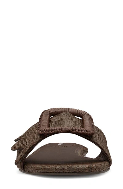 Shop Birdies Kiwi Slide Sandal In Chocolate Raffia
