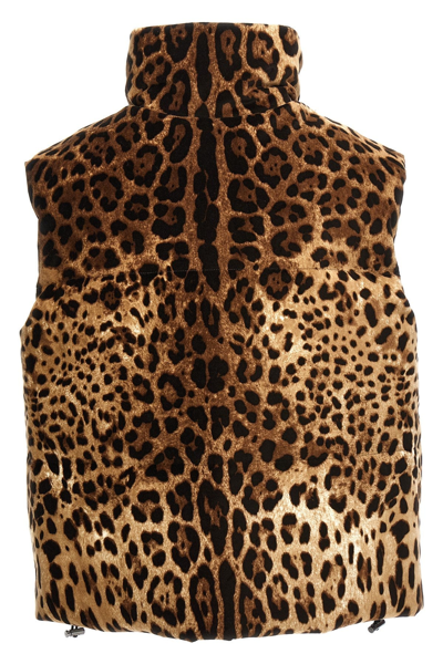 Shop Dolce & Gabbana Women Animalier Vest In Multicolor