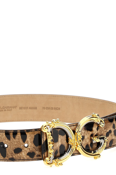 Shop Dolce & Gabbana Women Logo Animalier Belt In Multicolor