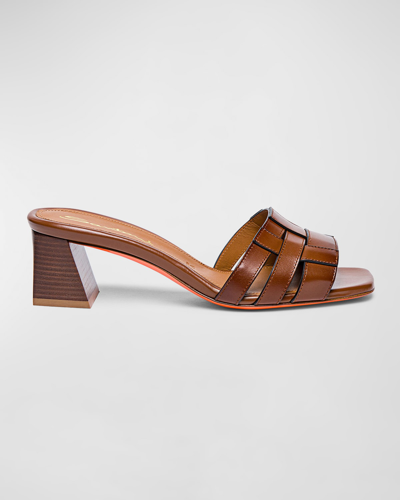 Shop Santoni Venere Leather Block-heel Mule Sandals In Light Brown