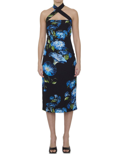 Shop Dolce & Gabbana Floral Print Halterneck Midi Dress In Multi