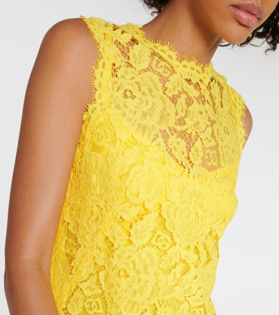 Shop Dolce & Gabbana Cotton-blend Lace Minidress In Yellow