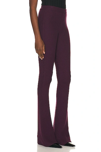 Shop Bally Flare Pant In Orchid 50