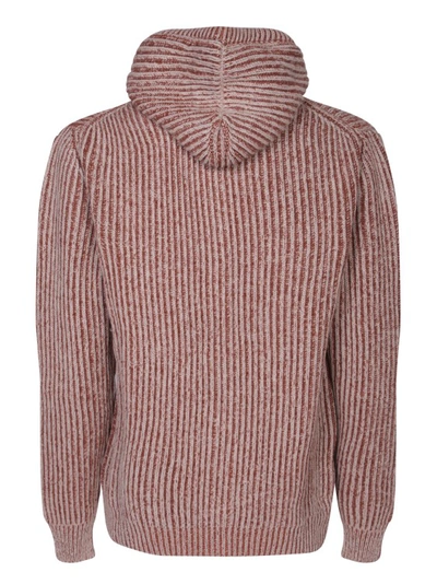 Shop Kiton Cashmere Hoodie By  In Pink