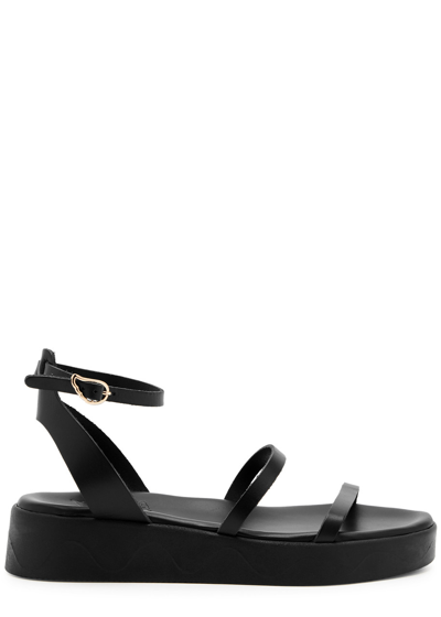 Shop Ancient Greek Sandals Nissida Leather Flatform Sandals In Black