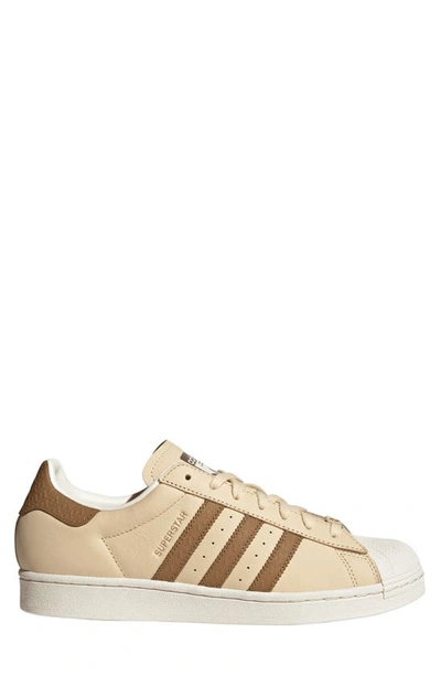 Shop Adidas Originals Superstar Sneaker In Sand/ Brown/ Off White