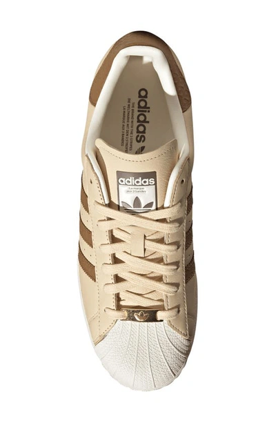 Shop Adidas Originals Superstar Sneaker In Sand/ Brown/ Off White