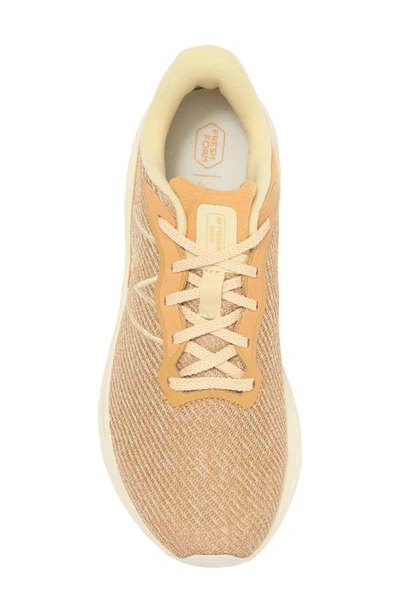 Shop New Balance Fresh Foam Arishi V4 Sneaker In Dolce/ Gold