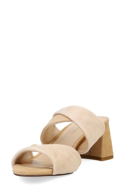 Shop Pelle Moda Tabia Slide Sandal In Latte/ Beige