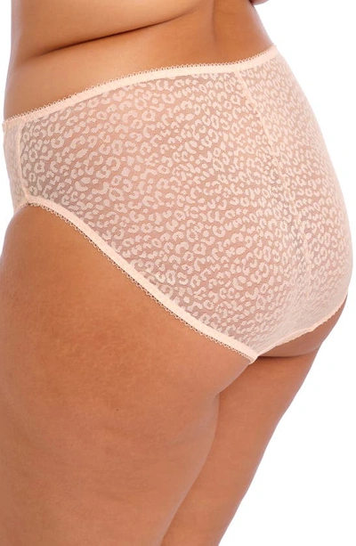 Shop Elomi Lucie High Cut Briefs In Pale Blush