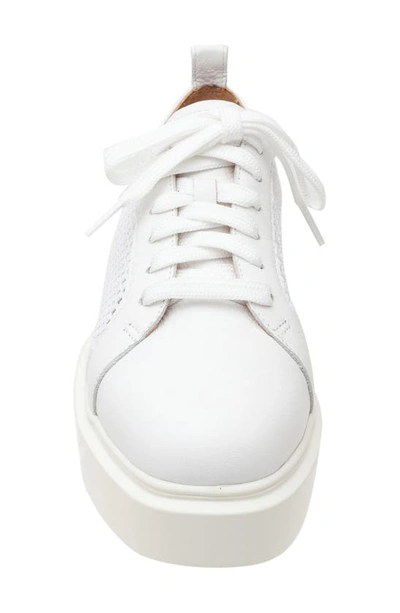Linea Paolo Kosta Platform Sneaker In White