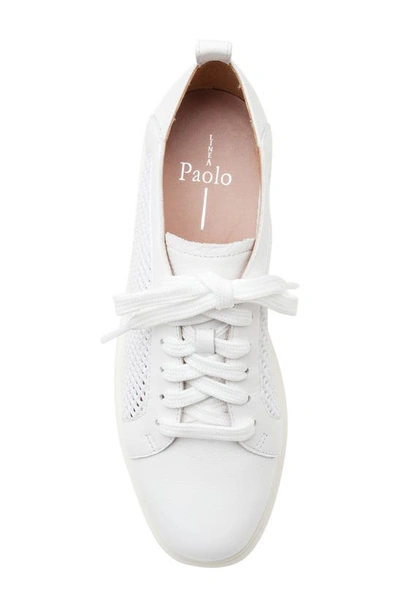 Linea Paolo Kosta Platform Sneaker In White