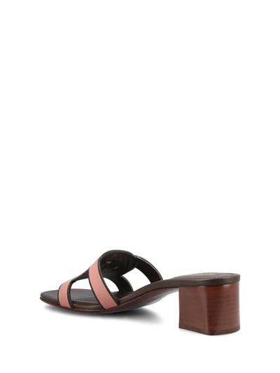 Shop Tod's Low Shoes In Glycine