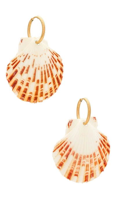Shop Casa Clara Odette Earring In Neutral Shell