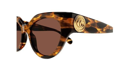Pre-owned Gucci Gg 1408s 002 Havana/brown Cat Eye Women's Sunglasses