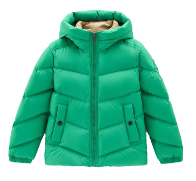 Shop Woolrich Kids Authentic Hooded Down Jacket In Green