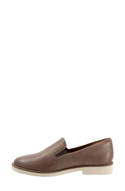 Shop Softwalk ® Whistle Ii Loafer In Stone