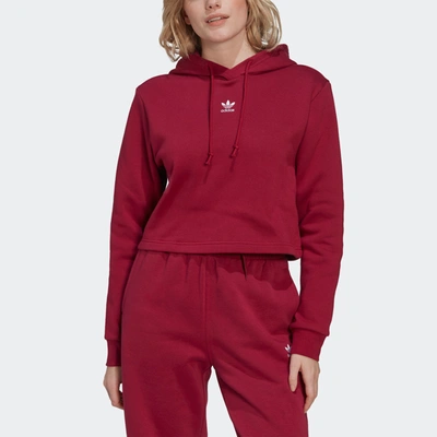 Shop Adidas Originals Women's Adidas Adicolor Essentials Crop Fleece Hoodie In Multi