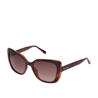 Shop Fossil Women's Cate Square Sunglasses In Brown