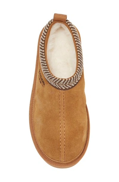 Koolaburra By Ugg Burree Slipper In Chestnut