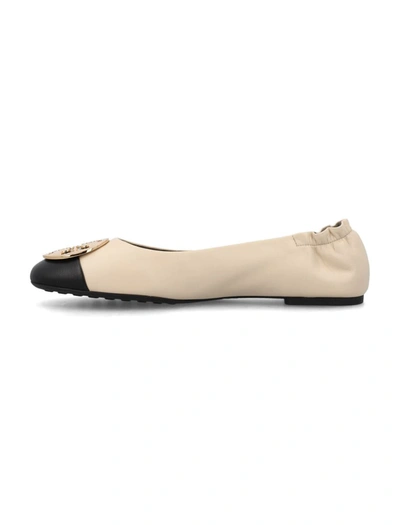 Shop Tory Burch Claire Cap-toe Ballet In New Cream/black/gold