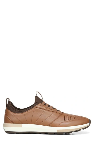 Shop Vionic Trent Sneaker In Toffee Leather