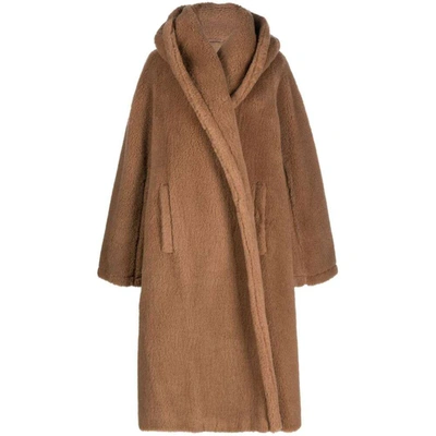 Shop Max Mara Coats In Brown