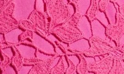 Shop Julia Jordan Floral Sleeveless Knit Lace Dress In Magenta