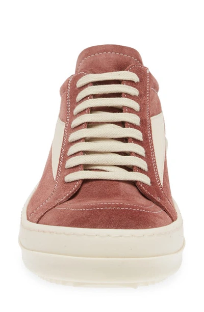 Shop Rick Owens Lido Sneaker In Dusty Pink/ Milk/ Milk