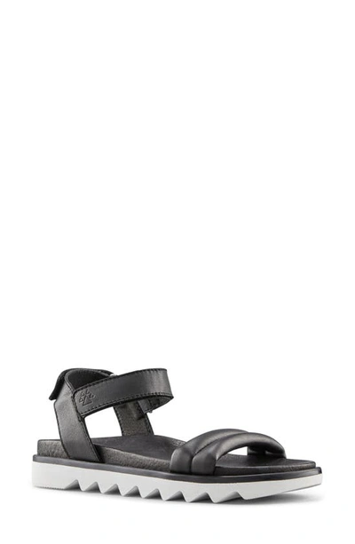 Shop Cougar Nolo Sandal In Black/ White