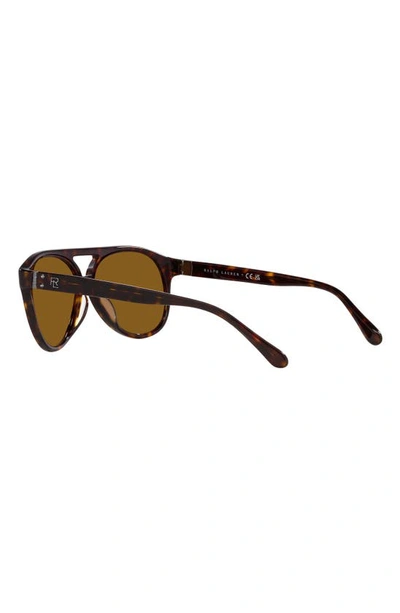 Shop Ralph Lauren 59mm Aviator Sunglasses In Havana