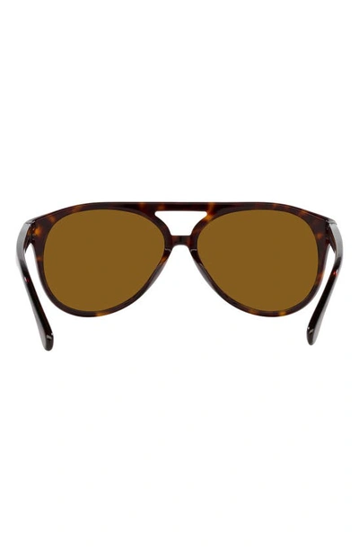 Shop Ralph Lauren 59mm Aviator Sunglasses In Havana