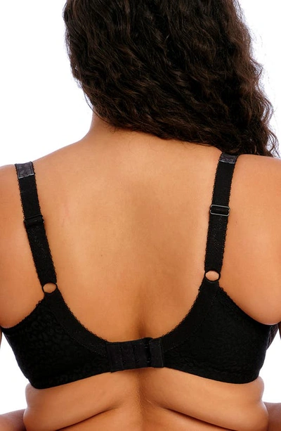 Elomi Lucie Full Figure Underwire Plunge Bra In Black