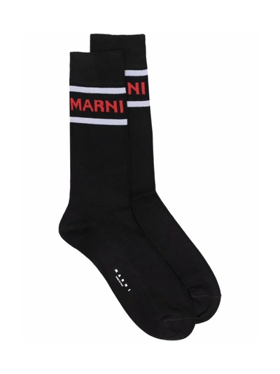 Shop Marni Logo Intarsia Socks In Black