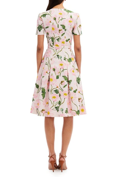 Shop Oscar De La Renta Poppy Print Belted Fit & Flare Dress In Pink/ Soft Pink