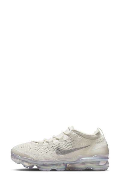 Shop Nike Air Vapormax 2023 Fk Sneaker In Phantom/ Metallic/ Silver