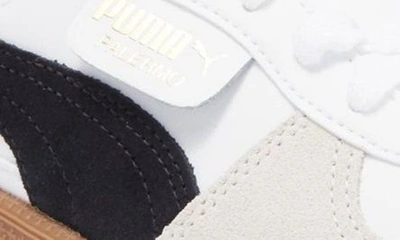 Shop Puma Kids' Palermo Sneaker In  White-vapor Gray-gum