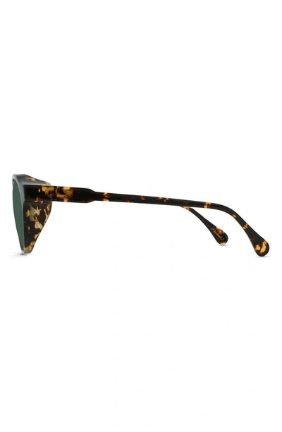 Shop Raen Expedition Remmy 50mm Round Sunglasses In Shasta Tortoise/ Exp Green