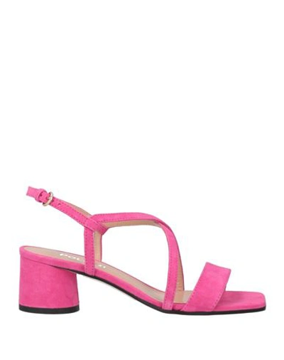 Shop Pollini Woman Sandals Fuchsia Size 8 Leather In Pink